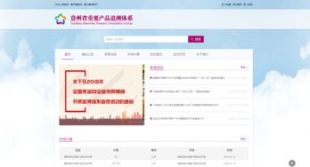 貴州電商云技術(shù)實(shí)力獲權(quán)威認(rèn)定，成就信息系統(tǒng)集成服務(wù)新標(biāo)桿